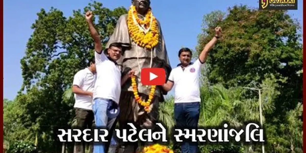 ભરૂચ : સરદાર પટેલની જન્મજયંતિની પાટીદાર સમાજે કરી ઉજવણી, પુષ્પાંજલિના કાર્યક્રમ યોજયાં