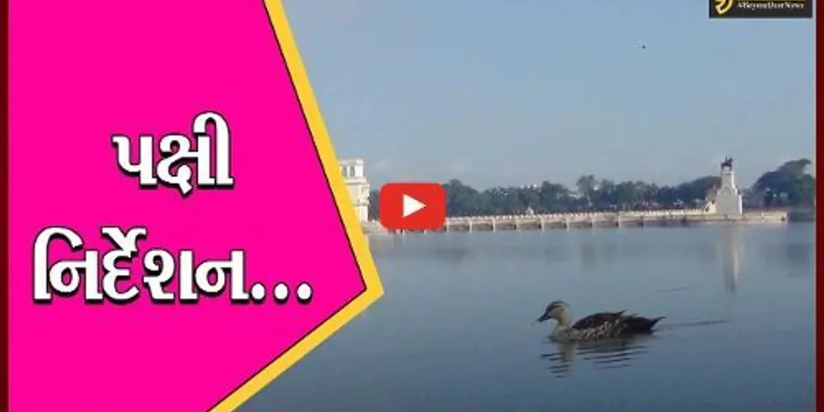 જામનગર: વાઈલ્ડલાઈફ વિકની ઉજવણીના ભાગરૂપે પક્ષી નિર્દેશન કાર્યક્રમની કરાય ઉજવણી