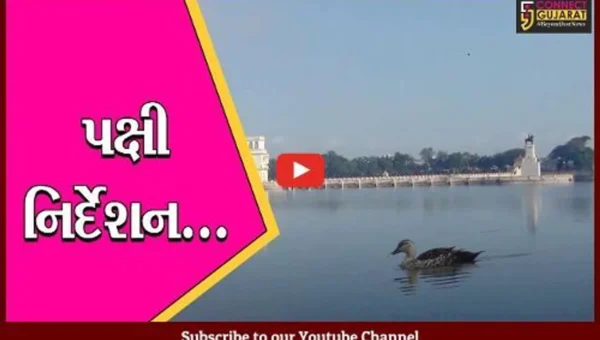 જામનગર: વાઈલ્ડલાઈફ વિકની ઉજવણીના ભાગરૂપે પક્ષી નિર્દેશન કાર્યક્રમની કરાય ઉજવણી