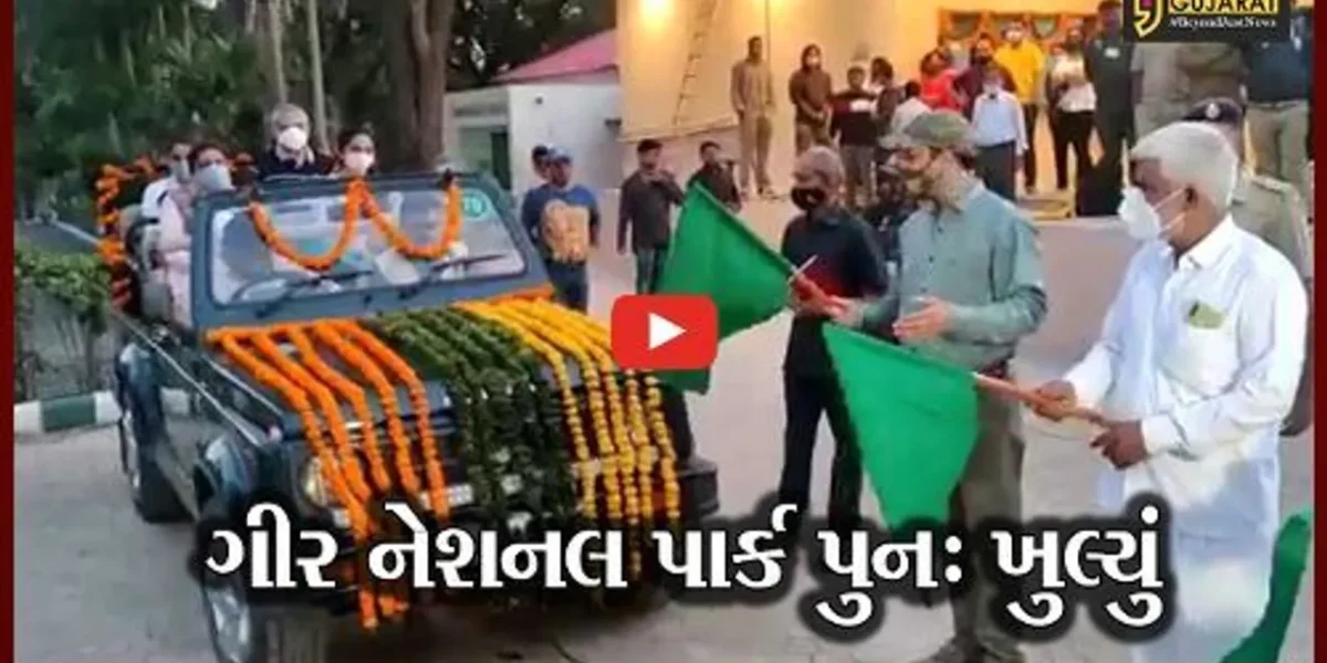 જુનાગઢ : ગીર નેશનલ પાર્ક પ્રવાસીઓ માટે આજથી ખુલ્લું મુકાયું…