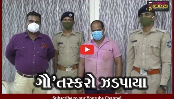 વલસાડ : પોલીસ અને નેત્રમની ટીમે કર્યો ગૌ તસ્કરીનો પર્દાફાશ, 3 આરોપીઓની ધરપકડ…
