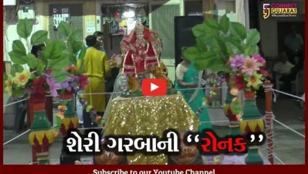 નવસારી: શહેરમાં ઠેર ઠેર શેરી ગરબાનું આયોજન,યુવાધન હિલ્લોળે ચઢ્યું