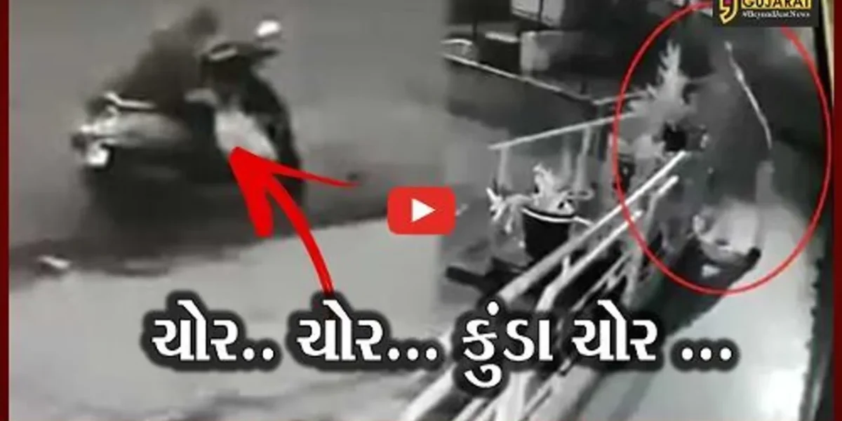 વડોદરા : ઘર કે દુકાનની બહાર કુંડા રાખો છો ચેતજો, હવે કુંડા ચોરીનો ચાલ્યો છે ટ્રેન્ડ
