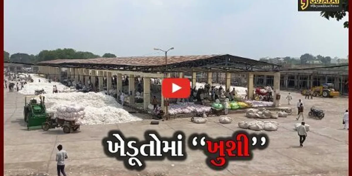 અમરેલી : બાબરા માર્કેટિંગ યાર્ડમાં કપાસની આવકમાં વધારો, સારો ભાવ મળતા ખેડૂતોમાં ખુશી.