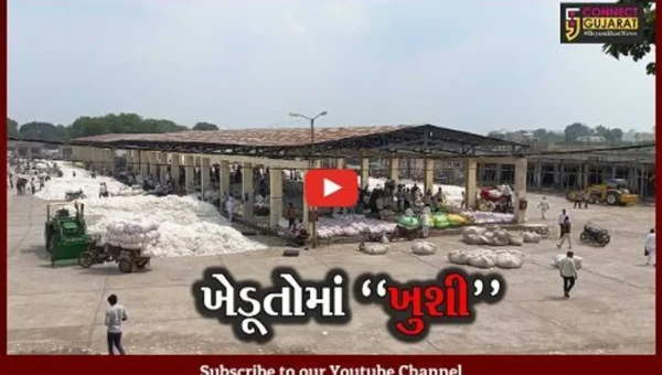 અમરેલી : બાબરા માર્કેટિંગ યાર્ડમાં કપાસની આવકમાં વધારો, સારો ભાવ મળતા ખેડૂતોમાં ખુશી.