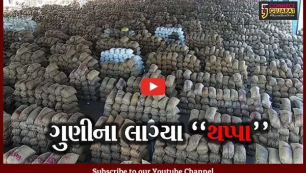 રાજકોટ : મગફળીથી ઉભરાયું ગોંડલ માર્કેટિંગ યાર્ડ, વાહનોની લાગી લાંબી કતાર…