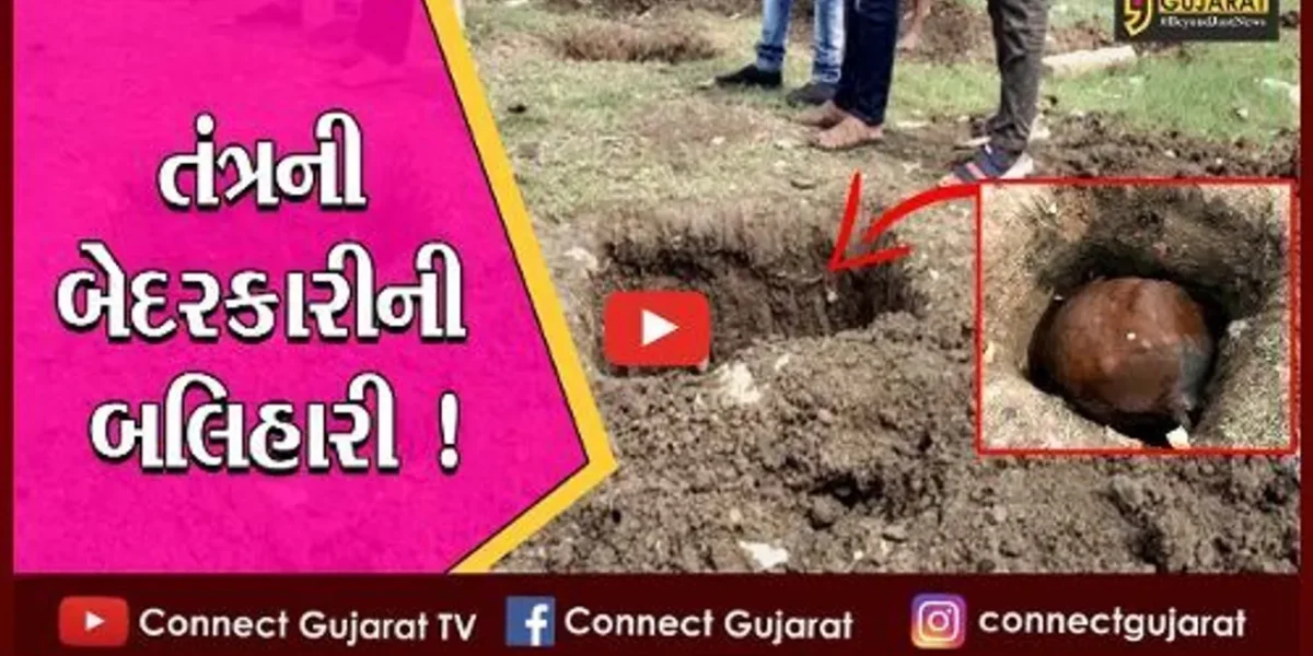 ભરૂચ: અંકલેશ્વરમાં વીજ કંપનીએ ખોદેલા ખાડામાં પડી જતા ગાયનું મોત,સ્થાનિકોમાં રોષ