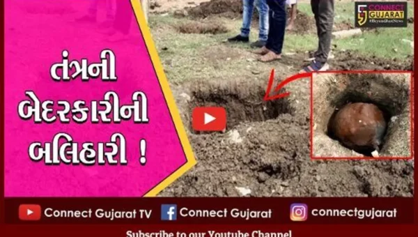 ભરૂચ: અંકલેશ્વરમાં વીજ કંપનીએ ખોદેલા ખાડામાં પડી જતા ગાયનું મોત,સ્થાનિકોમાં રોષ