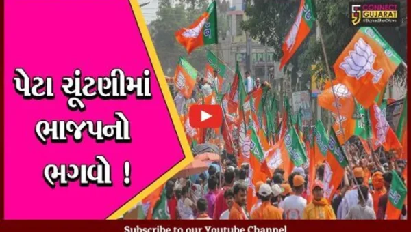 ગુજરાત:સ્થાનિક સ્વરાજ્યની સંસ્થાની ચૂંટણી બાદ પેટા ચૂંટણીમાં પણ ભાજપનો ભગવો કોંગ્રેસનો ફરી એકવાર રકાસ