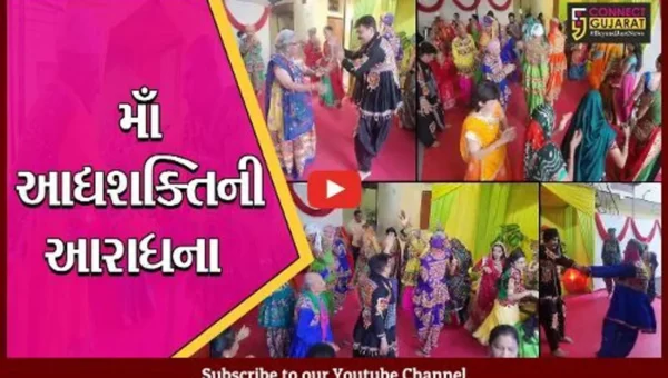 ભાવનગર : ટ્રેડિશનલ ડ્રેસમાં વૃદ્ધો ગરબે ઘુમ્યા, યુવા વર્ગને પણ શરમાવે તેવા દ્રશ્યો સર્જાયા