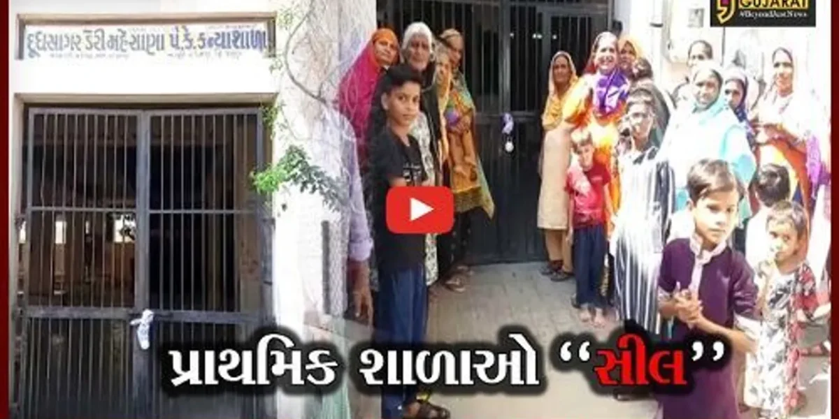 પાટણ : શિક્ષણ વિભાગની ભૂલના કારણે પ્રાથમિક શાળાના વિદ્યાર્થીઓનું શિક્ષણ ટલ્લે ચઢ્યું, જાણો કેમ..!