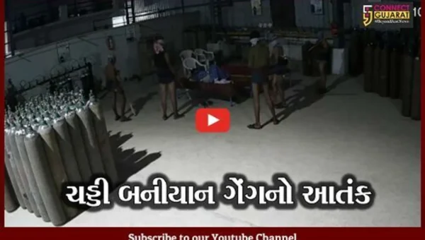 મહેસાણા: ચડ્ડી બનીયાન ગેંગનો આતંક; એક જ રાતમાં પાંચ સ્થળોએ કરી ચોરી