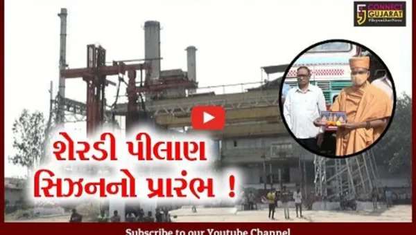 નર્મદા: સુગર ફેક્ટરીમાં શેરડી પીલાણ સિઝનનો પ્રારંભ,9 લાખ મેટ્રિક ટન પીલાણનો લક્ષ્યાંક