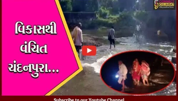 છોટાઉદેપુર : ચંદનપુરાની પ્રસુતાને ઉપડી પ્રસવ પીડા, 108 તો બોલાવી પણ ન પહોંચી શકી ઘર સુધી
