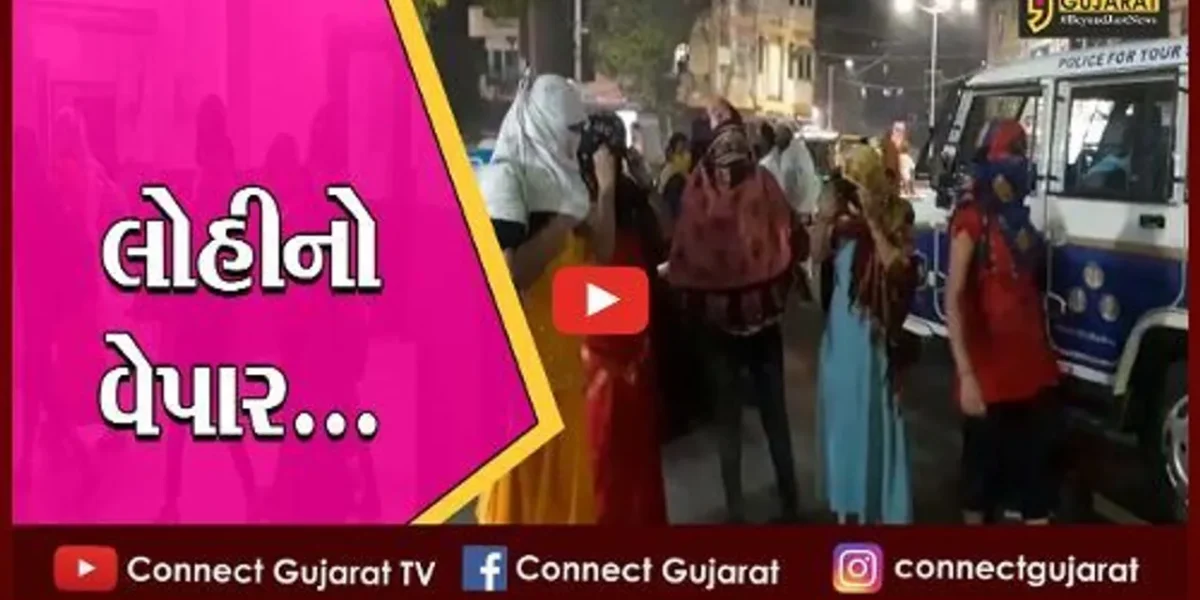વડોદરા : પાણીગેટના સનરાઇઝ કોમ્પલેકસમાં ચાલતું હતું કુટણખાનું, સાત લલના અને ત્રણ ગ્રાહક ઝડપાયાં