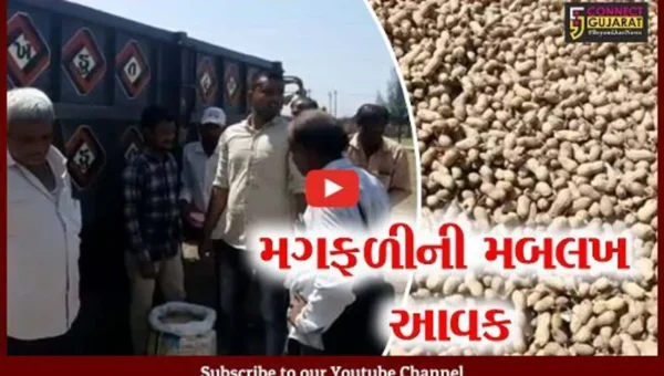 ગીર સોમનાથ : પ્રાસલી યાર્ડમાં મગફળીની આવરો શરૂ, સારા ભાવ મળતાં ખેડુતો ખુશ