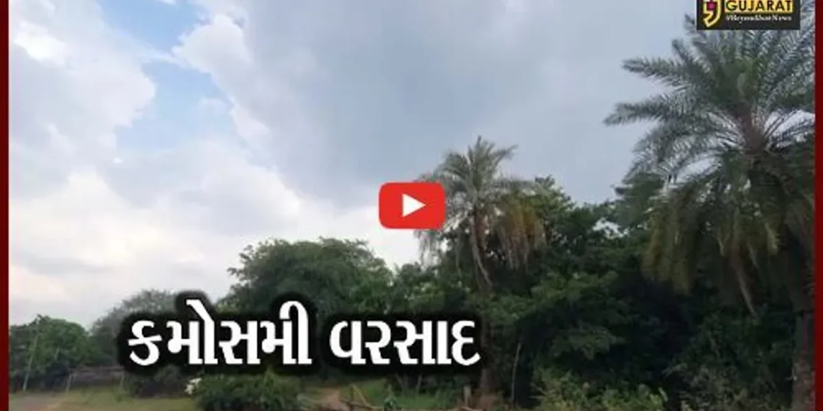 દક્ષિણ ગુજરાતમાં માવઠું, ખેડુતોના લલાટે ચિંતાની લકીરો
