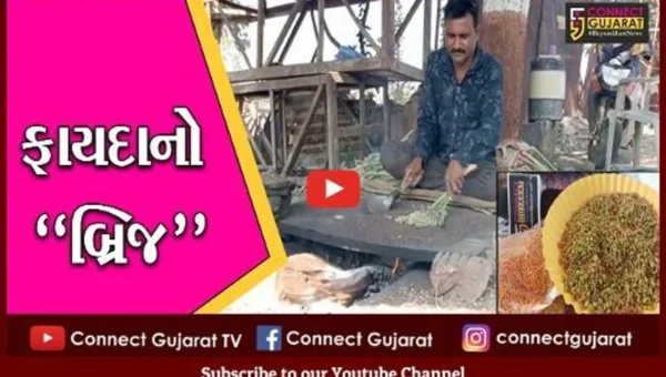 ભરૂચ : નર્મદા મૈયા બ્રિજથી ઉભી થઇ રોજગારીની નવી તકો, સ્થાનિકો ખુશખુશાલ