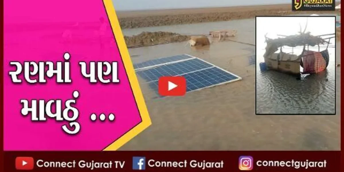 સુરેન્દ્રનગર : અગરિયાઓને “ખારા” પાણીએ રડાવતો કમોસમી વરસાદ, સાધનોને ભારે નુકશાન