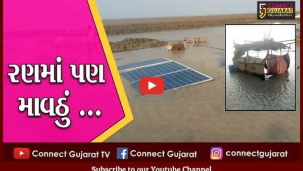 સુરેન્દ્રનગર : અગરિયાઓને “ખારા” પાણીએ રડાવતો કમોસમી વરસાદ, સાધનોને ભારે નુકશાન
