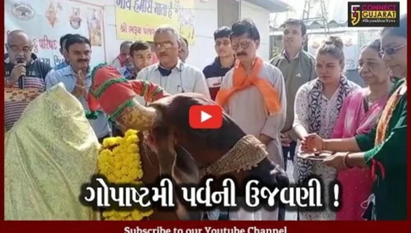ભરૂચ: પાંજરાપોળ ખાતે ગોપાષ્ટમી પર્વની ઉજવણી, વિશ્વ હિન્દુ પરિષદના આગેવાનો જોડાયા
