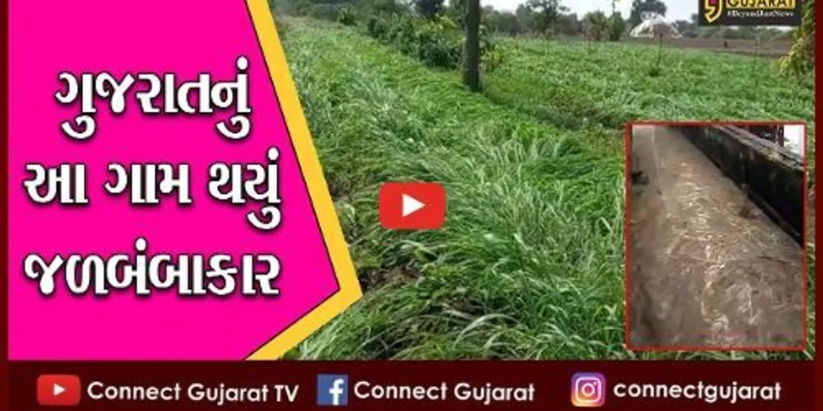 અમરેલી : શિયાળામાં ભાદરવાનો માહોલ, બે ઇંચથી વધારે વરસાદથી લાસા ગામમાં નદીઓ વહી