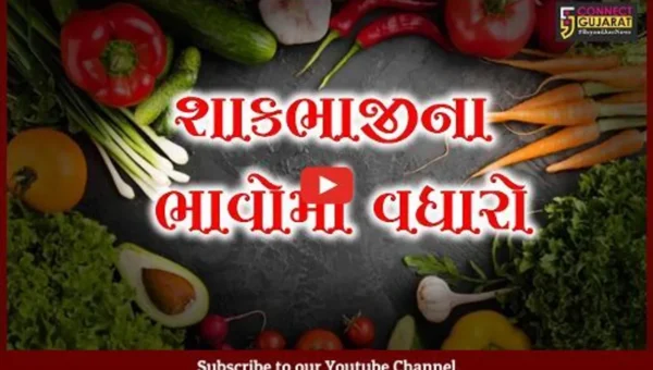 ભરૂચ: ટામેટાના ભાવે સામાન્ય વર્ગને કર્યો લાલ, રિટેલ માર્કેટમાં વેચાય રહ્યા છે 80થી100 રૂપિયે કિલો