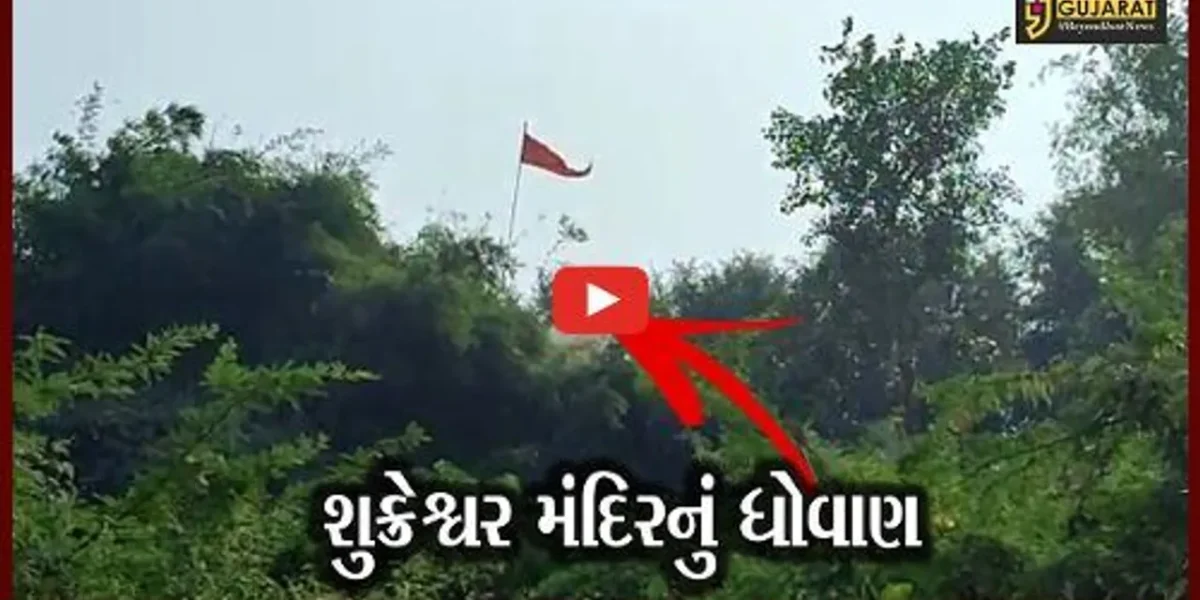 ભરૂચ : “મહાદેવ”નો અસ્તિત્વનો જંગ, નદીના જળથી જમીનનું ધોવાણ