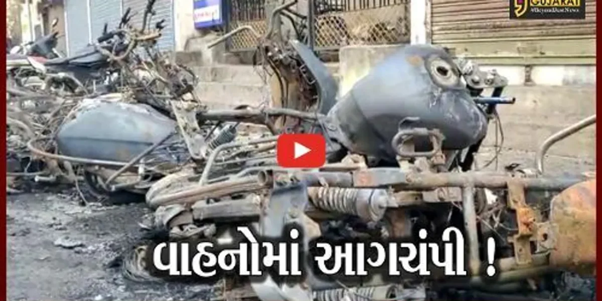 વડોદરા: 6થી વધુ વાહનોમાં આગ ફાટી નિકળતા દોડધામ,ફાયર વિભાગે આગ પર મેળવ્યો કાબૂ