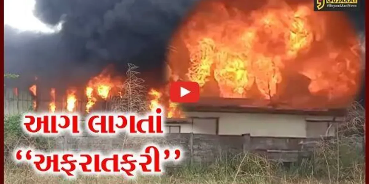 વડોદરા : લામડાપુરા GIDCની કંપનીમાં ફાટી નીકળી ભીષણ આગ, ફાયર ફાઇટરો દોડ્યા.