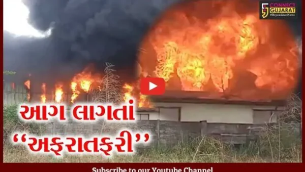 વડોદરા : લામડાપુરા GIDCની કંપનીમાં ફાટી નીકળી ભીષણ આગ, ફાયર ફાઇટરો દોડ્યા.