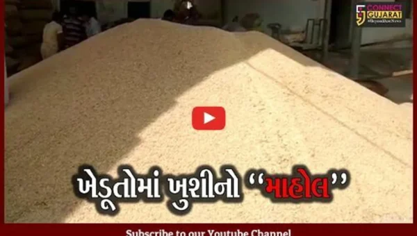 મહીસાગર : લુણાવાડા APMCમાં ટેકાના ભાવે ડાંગરની ખરીદી, રૂ. 88 વધુ મળતા ખેડૂતોમાં ખુશી
