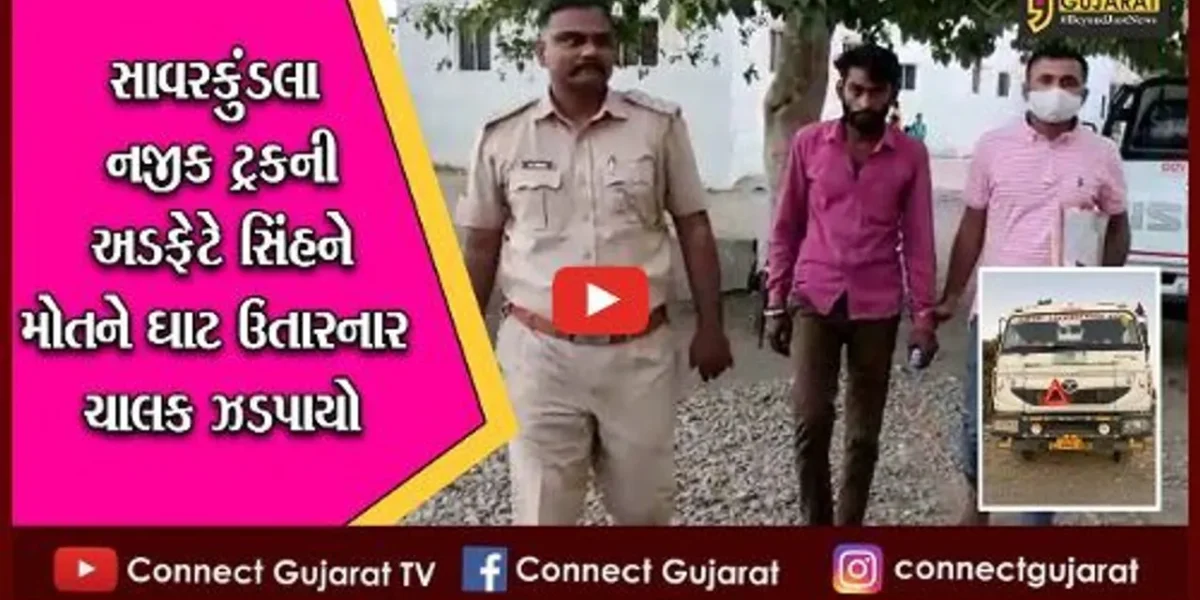અમરેલી: સાવરકુંડલા નજીક ટ્રકની અડફેટે સિંહને મોતને ઘાટ ઉતારનાર ચાલક ઝડપાયો, CCTV ફુટેજના આધારે પોલીસે કરી કાર્યવાહી