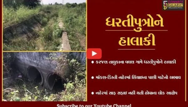 વડોદરા : વલણ ગામની માંકણ-ડિસ્તી નહેરમાં પાણીનો અભાવ, ધરતીપુત્રોને હાલાકી…