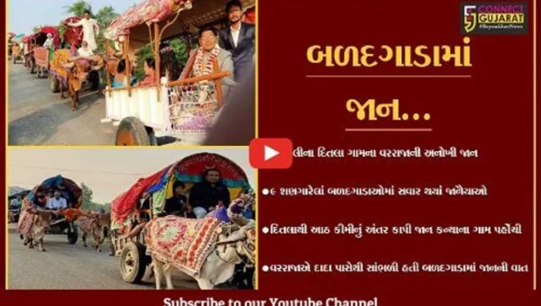 અમરેલી : પૌત્રએ દાદા પાસેથી જાણી જુનવાણી પરંપરા, પૌત્ર બળદગાડામાં જાન લઇ પહોંચ્યો મંડપમાં