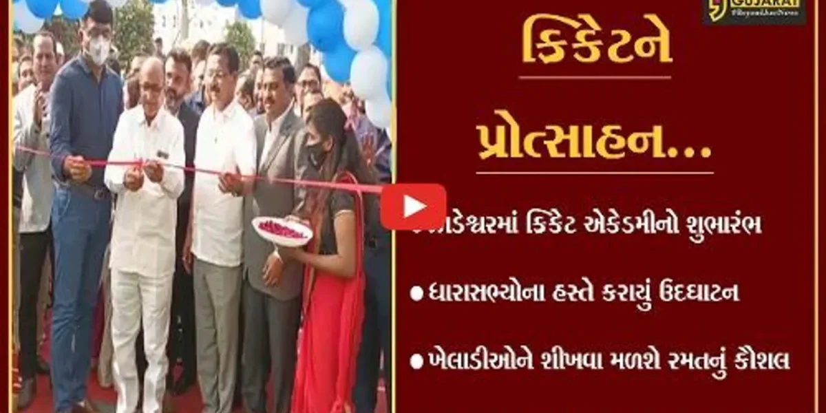 ભરૂચ : ધારાસભ્યો દુષ્યંત પટેલ અને ઇશ્વરસિંહ પટેલે બેટ પર અજમાવ્યો હાથ
