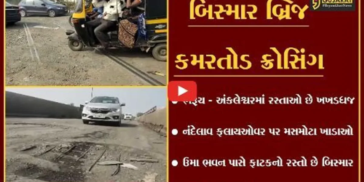 મંત્રી પુર્ણેશ મોદી એક નજર આ તરફ પણ નાંખો, જુઓ રસ્તાઓના કેવા છે હાલ