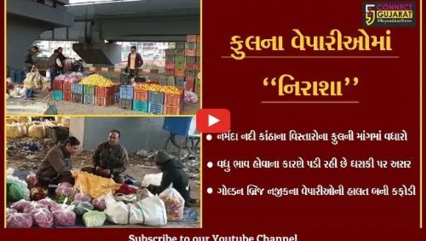 ભરૂચ : ફુલ ગુલાબી ઠંડીમાં ફુલના વેપારીઓમાં નિરાશા, ભાવ વધતાં અસમંજસ..!