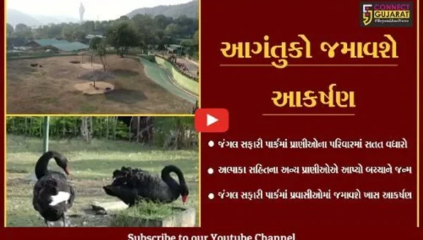 નર્મદા : કેવડીયાના જંગલ સફારી પાર્કમાં નવા મહેમાનોનું “આગમન, પ્રાણીઓના પરિવારમાં થયો વધારો.