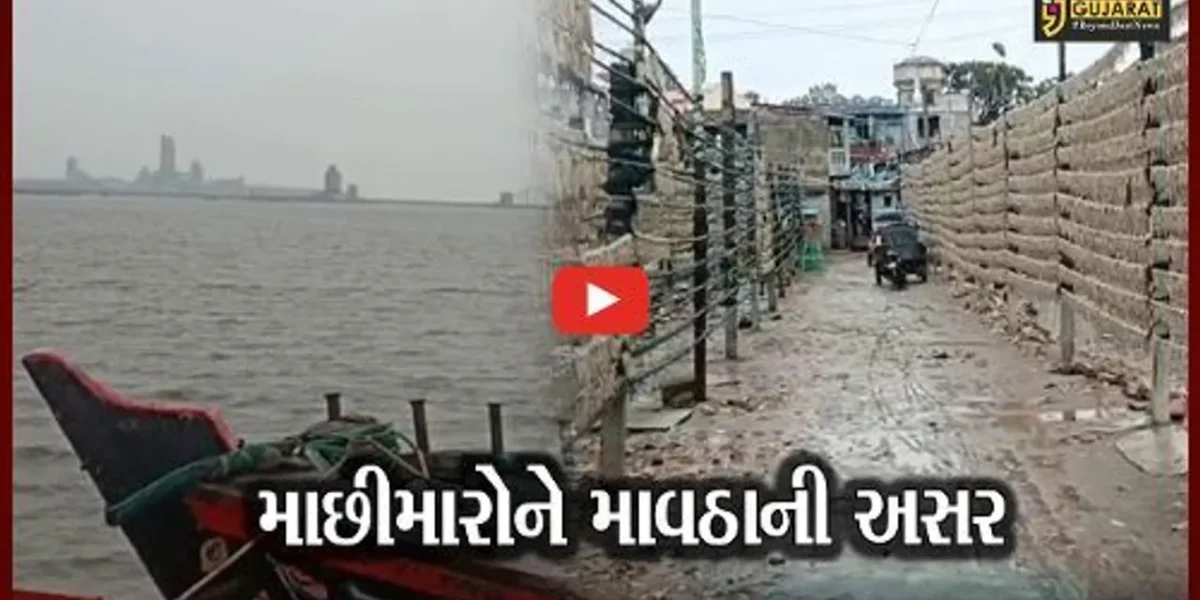 અમરેલી : માછીમારોને પણ થઈ માવઠાની અસર, સુકવેલી મચ્છીના બંડલોને મોટું નુકશાન..!