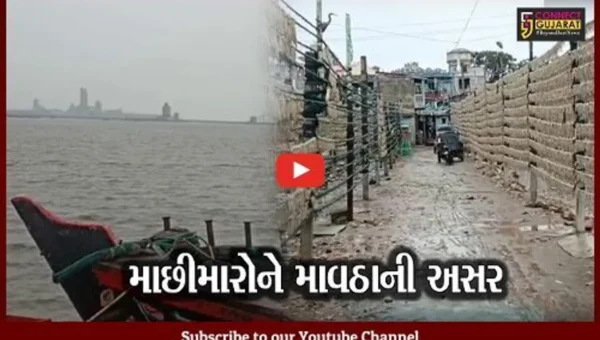 અમરેલી : માછીમારોને પણ થઈ માવઠાની અસર, સુકવેલી મચ્છીના બંડલોને મોટું નુકશાન..!