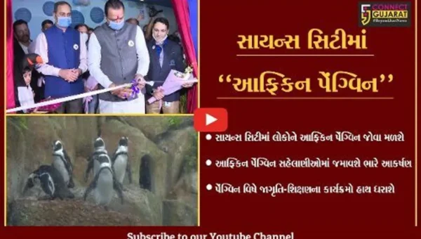 અમદાવાદ : સાયન્સ સિટીમાં જોવા મળશે આફ્રિકન પેંગ્વિન, આફ્રિકન પેંગ્વિન જમાવશે લોકોમાં આકર્ષણ…