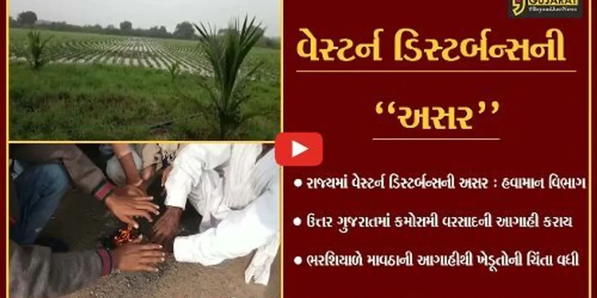 “માવઠું” : વેસ્ટર્ન ડિસ્ટર્બન્સની અસરના પગલે ઉત્તર ગુજરાતમાં કમોસમી વરસાદની આગાહી…