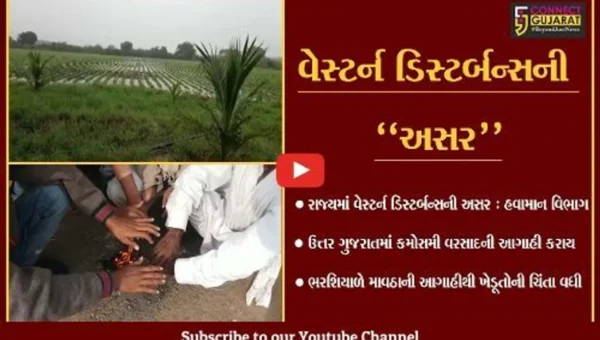 “માવઠું” : વેસ્ટર્ન ડિસ્ટર્બન્સની અસરના પગલે ઉત્તર ગુજરાતમાં કમોસમી વરસાદની આગાહી…