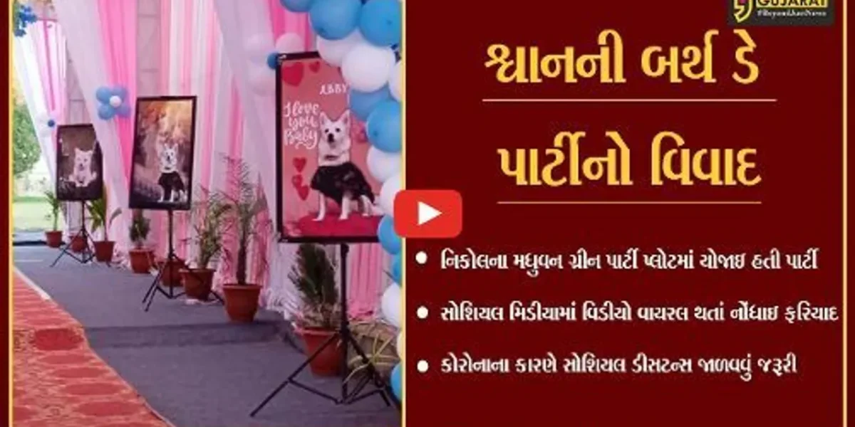 અમદાવાદ : શ્વાનની બર્થ ડે પાર્ટીમાં કાજલ મહેરીયાની હાજરી, ભીડ ભેગી થતાં કોરોનાને ઇજન