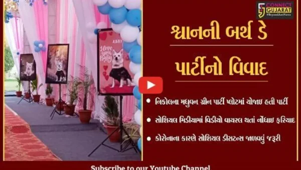 અમદાવાદ : શ્વાનની બર્થ ડે પાર્ટીમાં કાજલ મહેરીયાની હાજરી, ભીડ ભેગી થતાં કોરોનાને ઇજન
