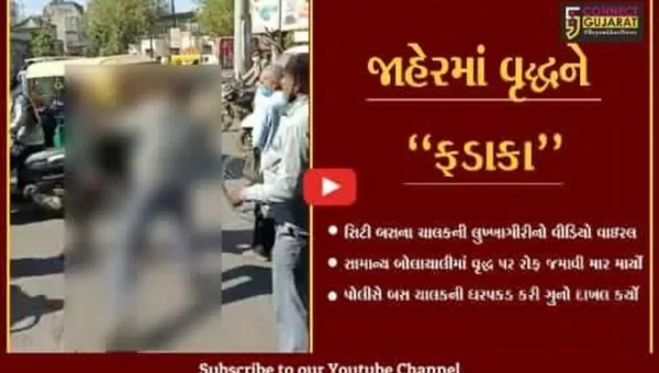 રાજકોટ : સિટી બસના ચાલકની ગુંડાગીરી, વૃદ્ધને જાહેરમાં માર મારતો વીડિયો વાઇરલ