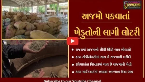 જામનગર : હાપા એપીએમસીમાં 20 કીલો અજમાનો સાત હજાર રૂપિયા ભાવ બોલાયો, ખેડુતો ખુશખુશાલ