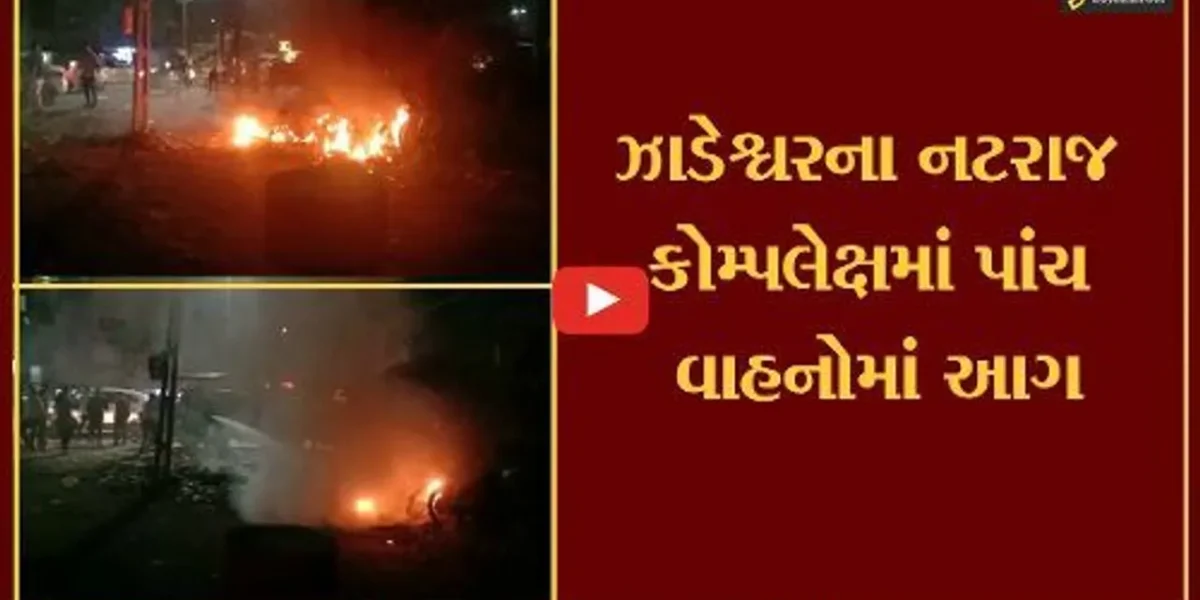 ભરૂચ : ઝાડેશ્વરના નટરાજ કોમ્પલેક્ષમાં પાંચ વાહનોમાં આગ, શું તુક્કલથી લાગી આગ.. ?