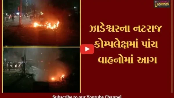 ભરૂચ : ઝાડેશ્વરના નટરાજ કોમ્પલેક્ષમાં પાંચ વાહનોમાં આગ, શું તુક્કલથી લાગી આગ.. ?
